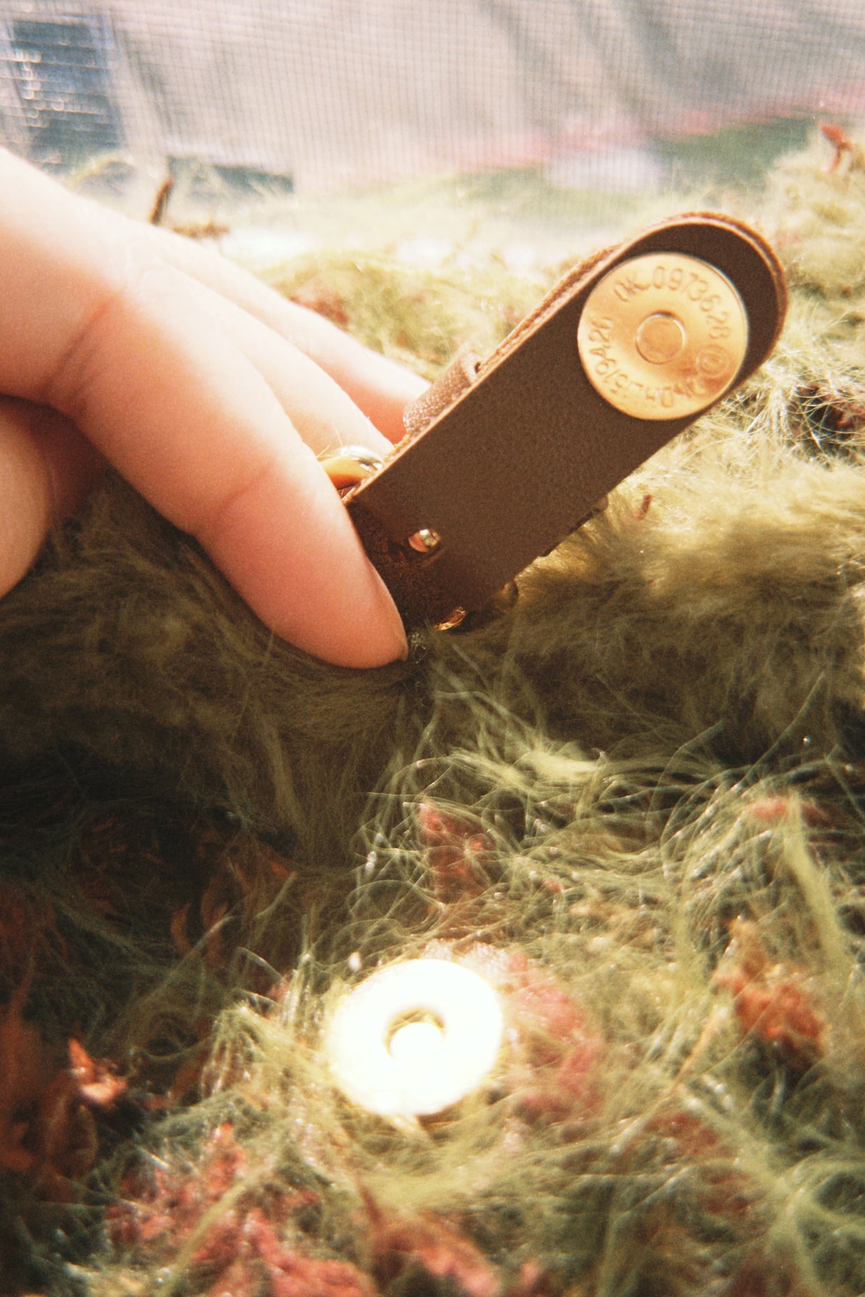 Moss Has No Deadline: One-of-a-Kind Hand-Blended Artisanal Forest Bag